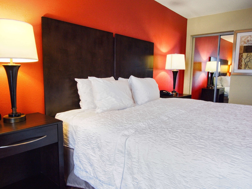 King studio suite - Photo 4