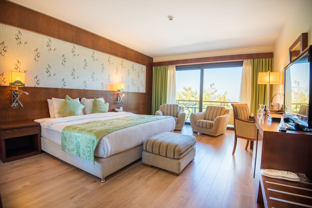 Deluxe Single Room photo 1