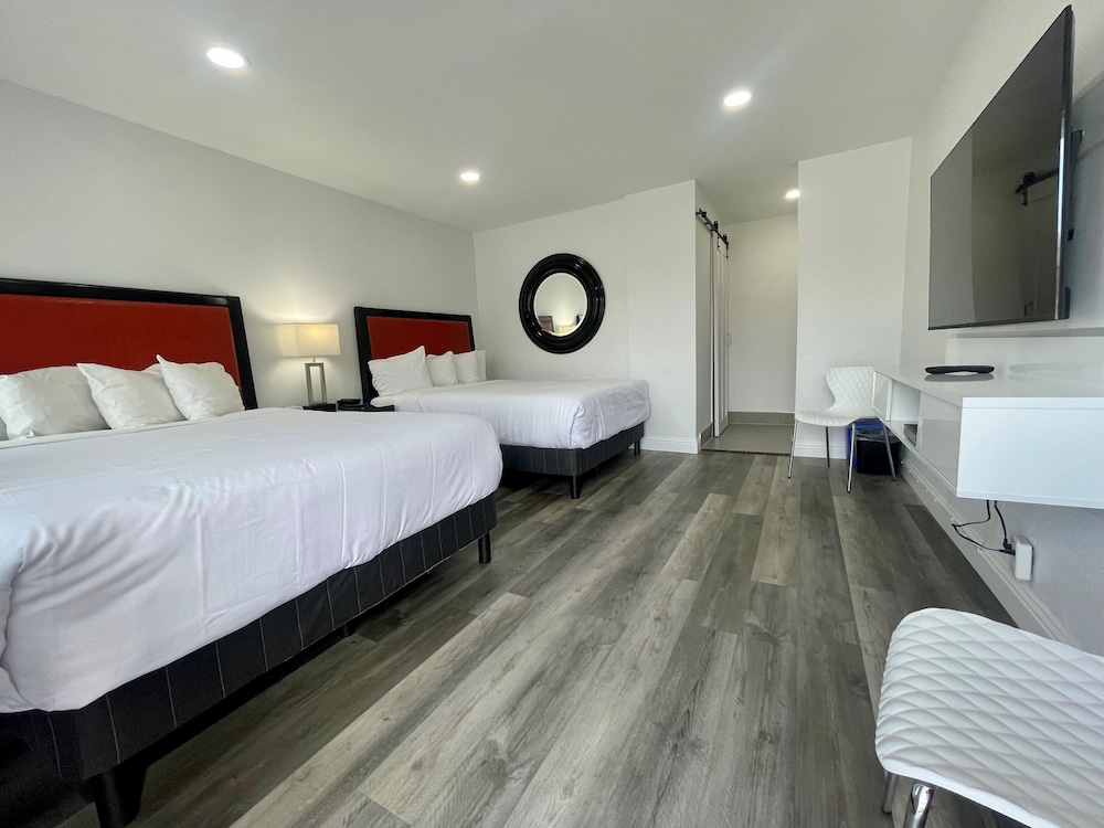 Premium Twin Room photo 1