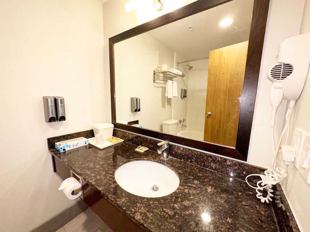 Single Room, Non Smoking - Photo 14