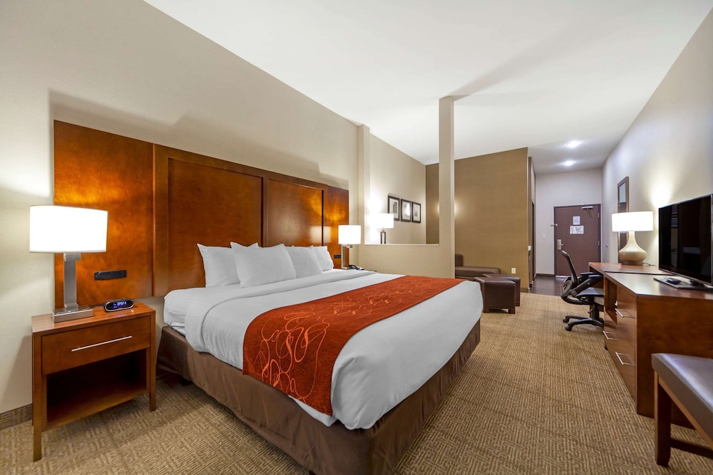Executive Suite, 1 King Bed with Sofa bed, Non Smoking photo 3