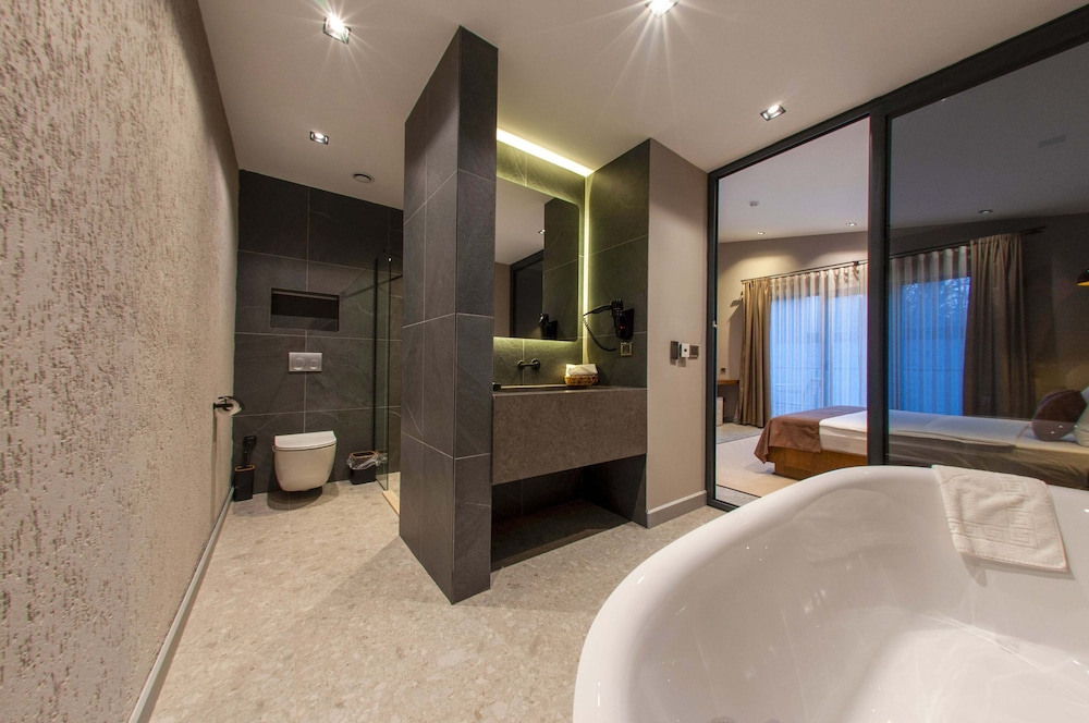 Deluxe Room photo 3