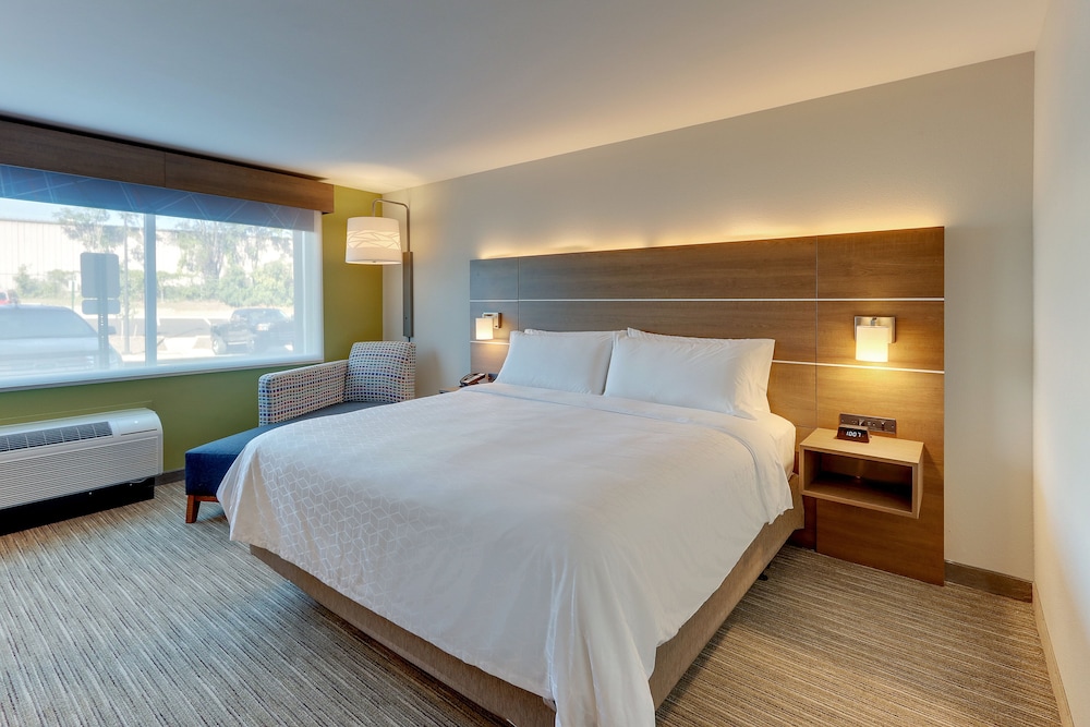 Room, 1 King Bed, Accessible (Roll-In Shower, Extra Floor Space) - Photo 5