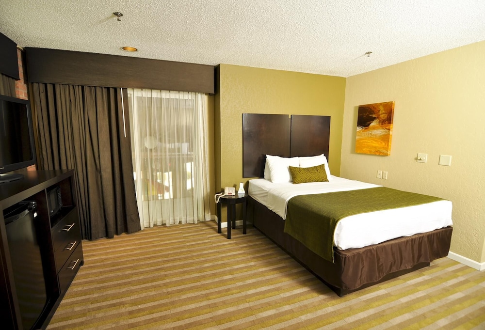Standard Room, Multiple Beds, Non Smoking, Refrigerator & Microwave photo 1