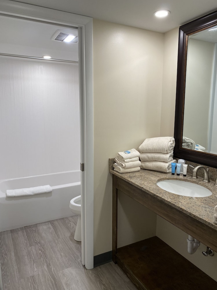 Suite, Lake View - Photo 3