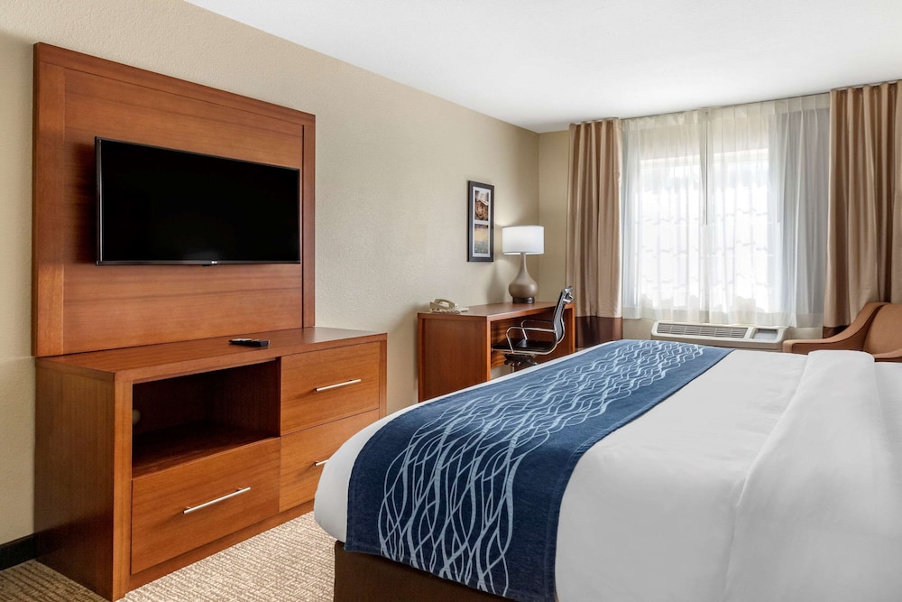 Room, 1 King Bed, Non Smoking (Efficiency, Pet Friendly) - Photo 3
