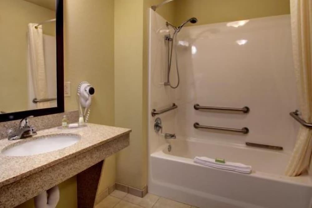 Suite, 1 King Bed with Sofa bed, Accessible, Non Smoking