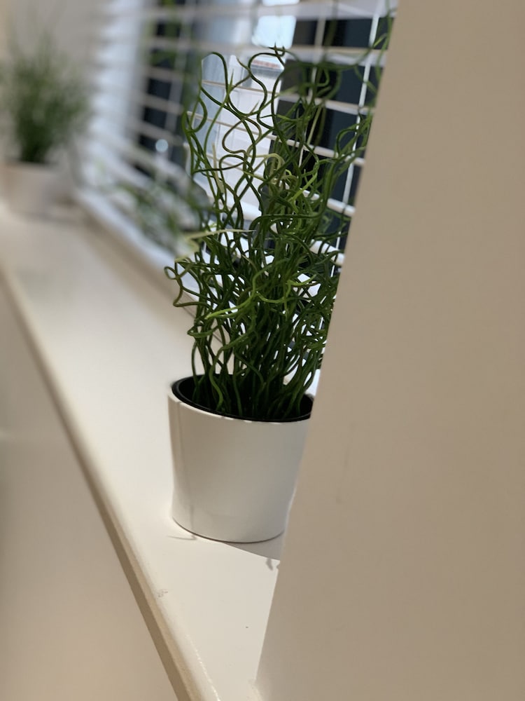 Luxury Apartment, Ensuite photo 2