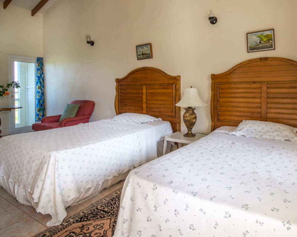 Basic Room, Ocean View photo 2