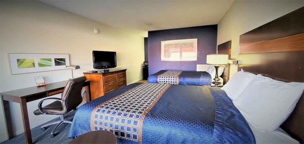 Studio Suite, 2 Double Beds photo 3