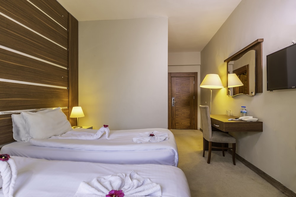 Standard Double or Twin Room photo 2