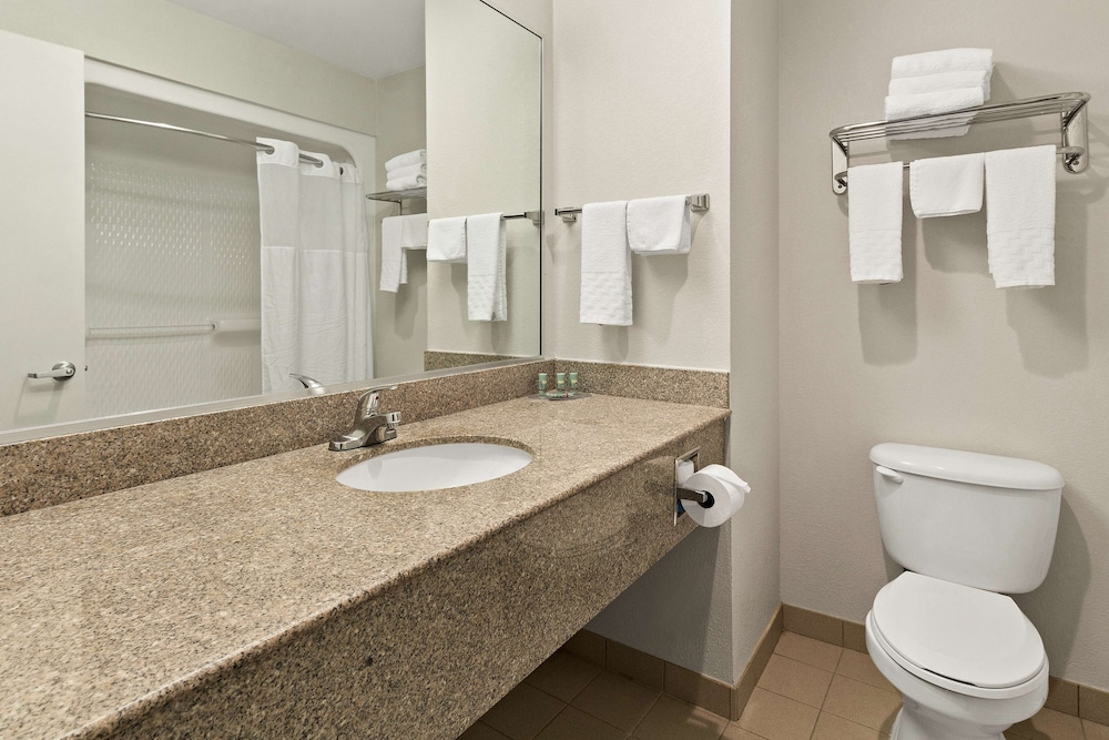 Suite, Multiple Beds, Non Smoking, Refrigerator & Microwave (with Sofabed) - Photo 4