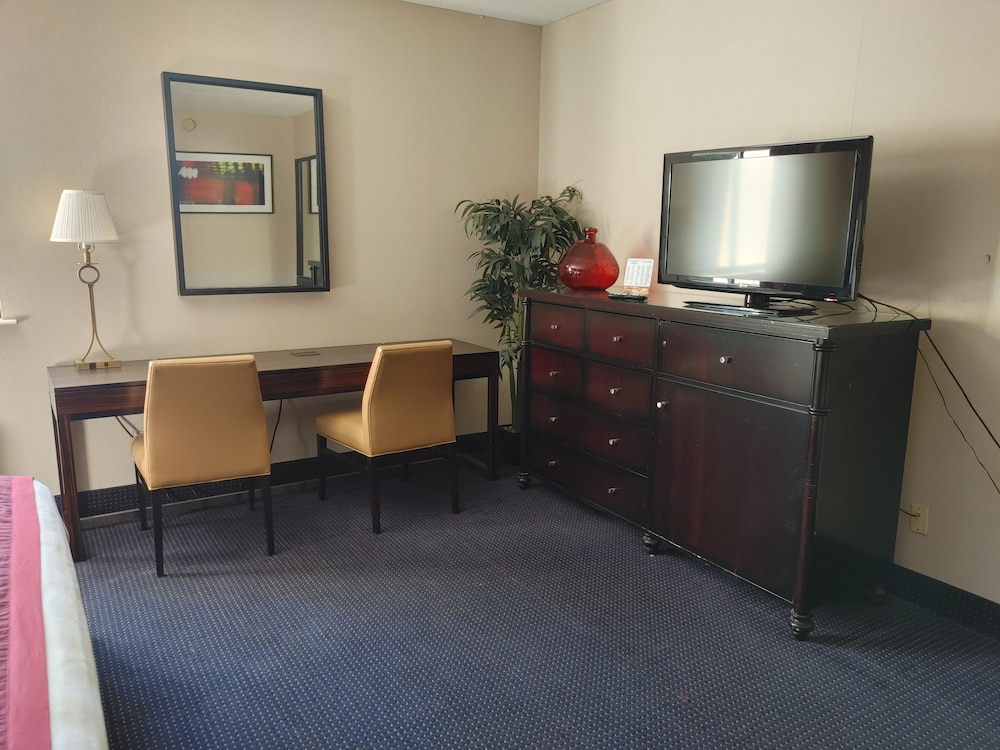 Standard Suite, 1 King Bed with Sofa bed photo 1
