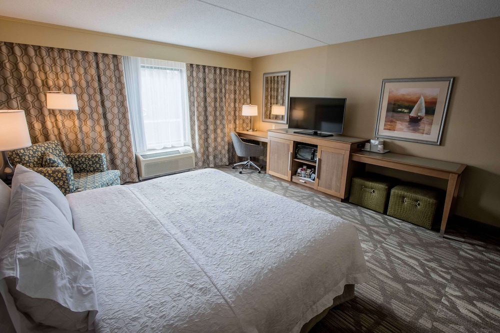 Room, 1 King Bed, Accessible - Photo 1