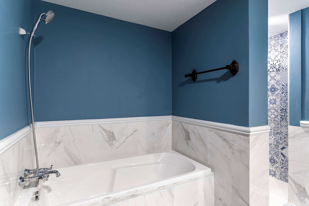 Suite with Bathtub photo 3