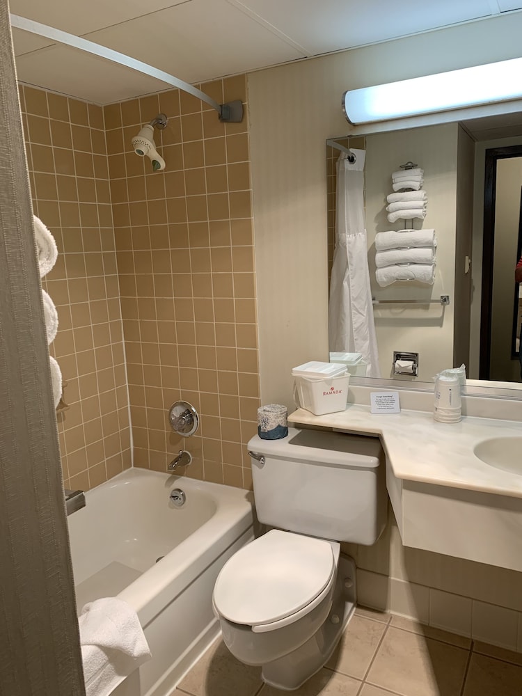 Suite, 1 King Bed - Photo 6