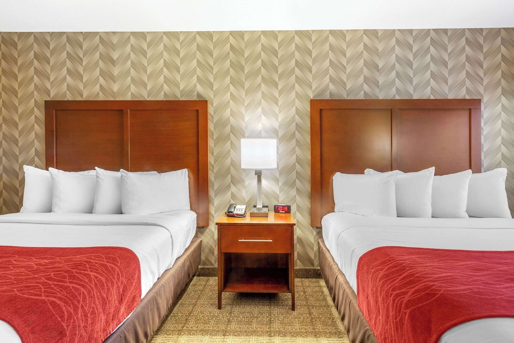 Standard Room, 2 Queen Beds - Photo 8