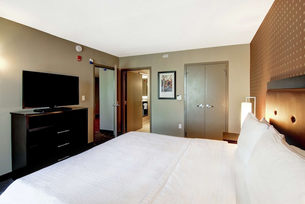 Suite, 1 King Bed, Accessible (Mobility & Hearing, Roll-in Shower)