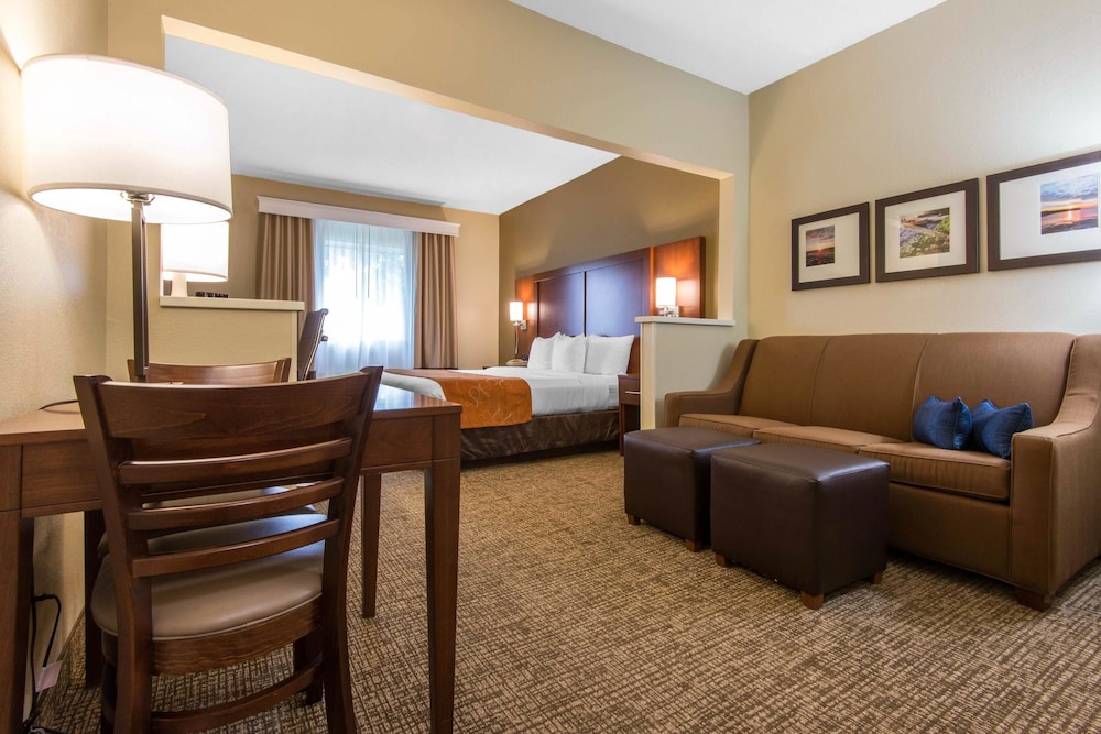 Suite, 1 King Bed with Sofa bed - Photo 2