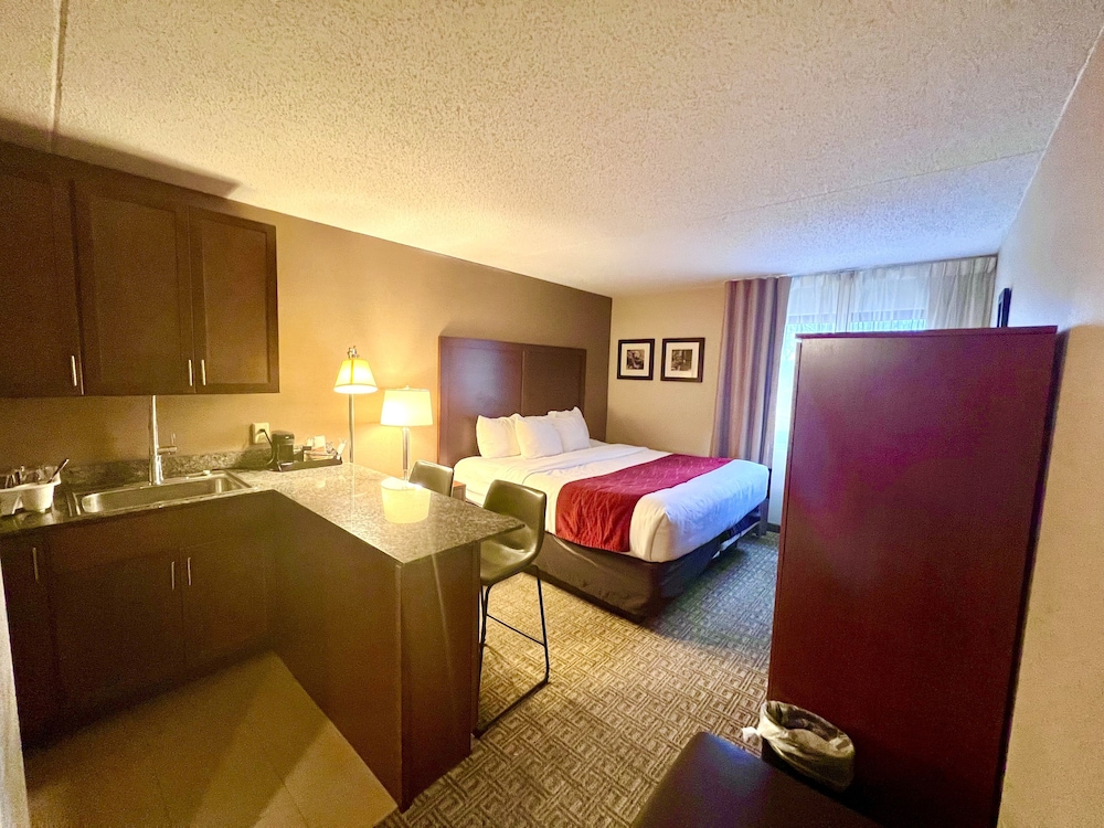Suite, 1 King Bed, Non Smoking photo 1