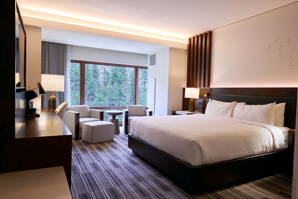 Club Premier- 1 King Bed - Photo 1