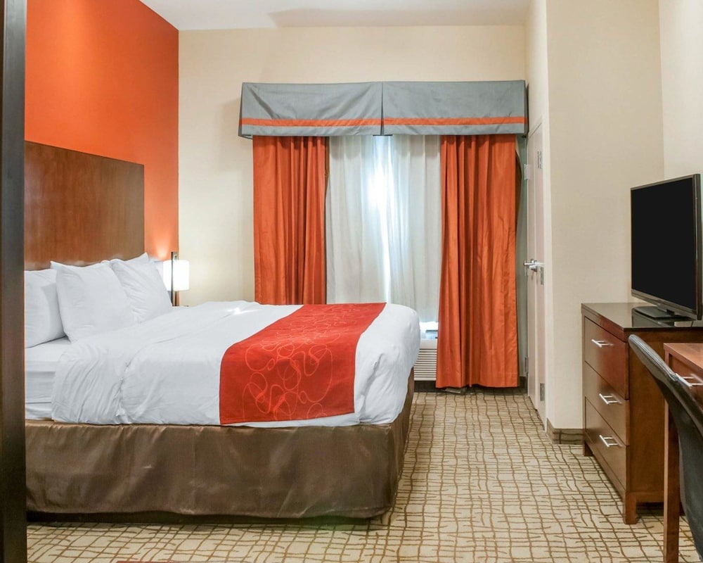 Suite, 1 King Bed with Sofa bed, Non Smoking photo 3