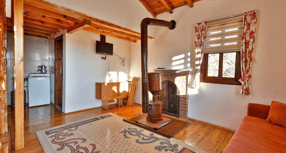 Standard Chalet photo 2
