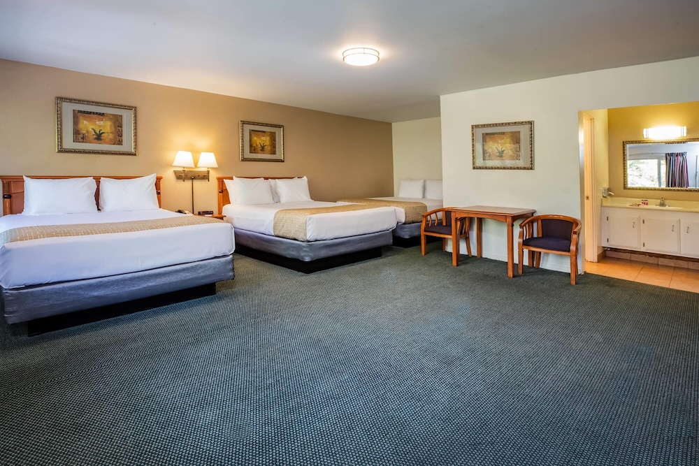 Room, Multiple Beds, Non Smoking, River View - Photo 1