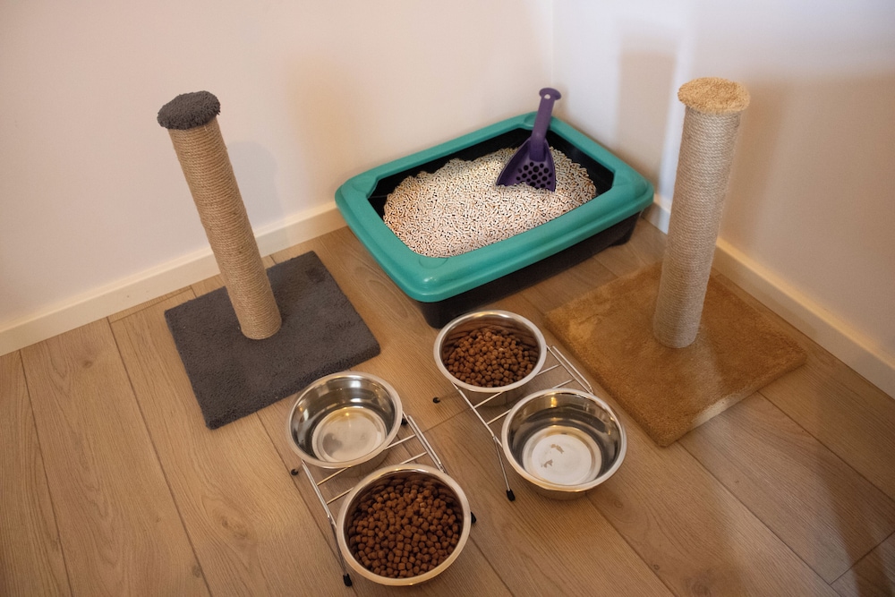 Premium Room photo 1