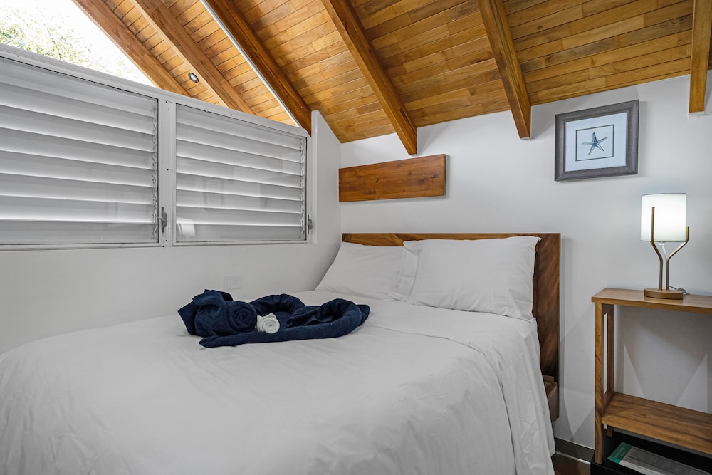 Basic Single Room
