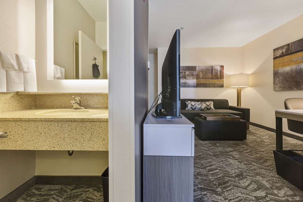 Suite, 1 King Bed - Photo 6