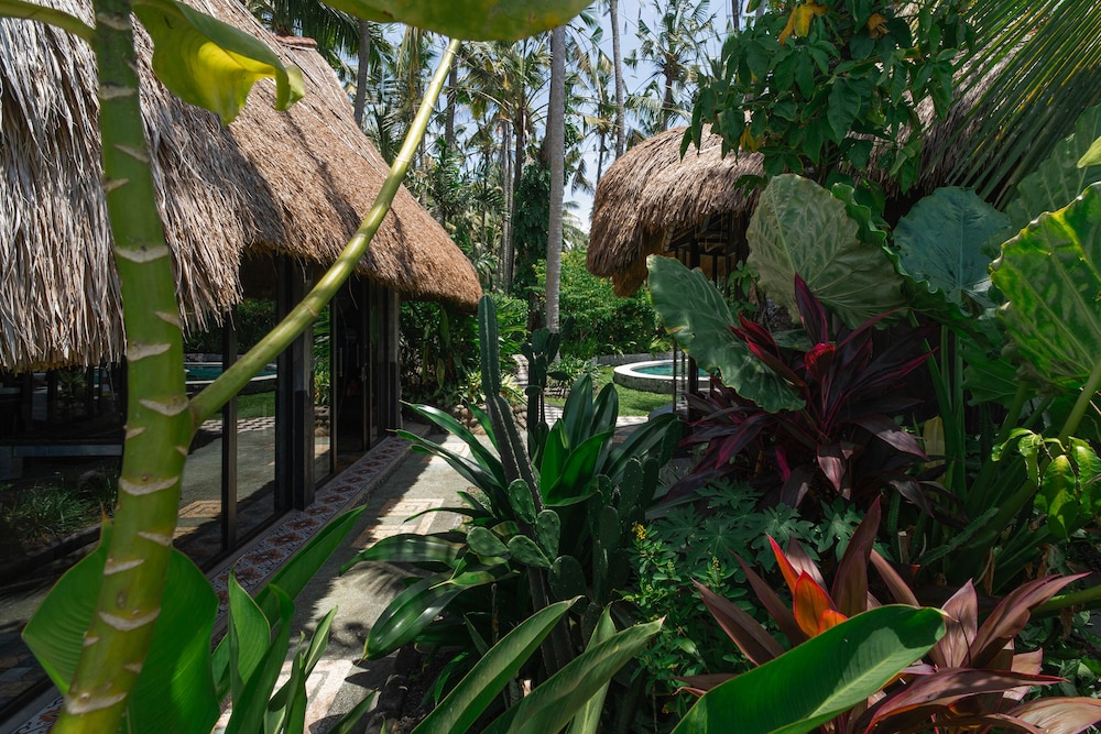 Two Small Oceanfront Villas Owl & Nixie 2BR photo 2