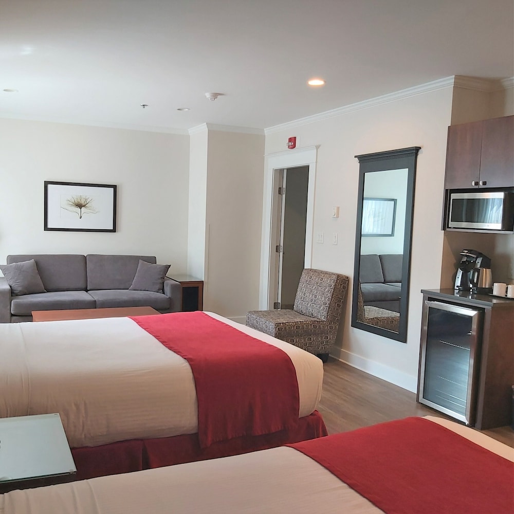 Premium Room, Multiple Beds photo 3
