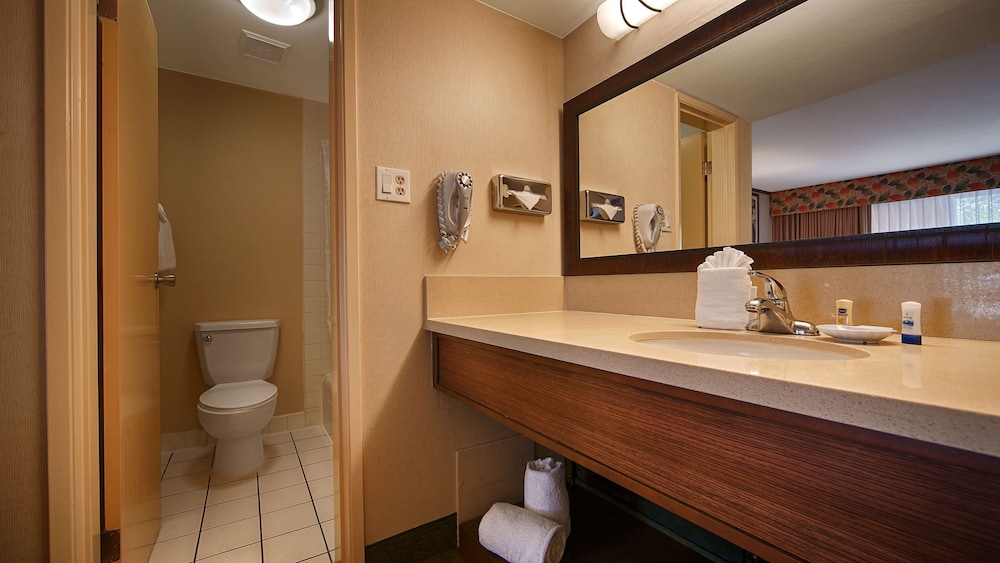 Suite, 1 King Bed, Non Smoking, Refrigerator & Microwave (with Sofabed) - Photo 4