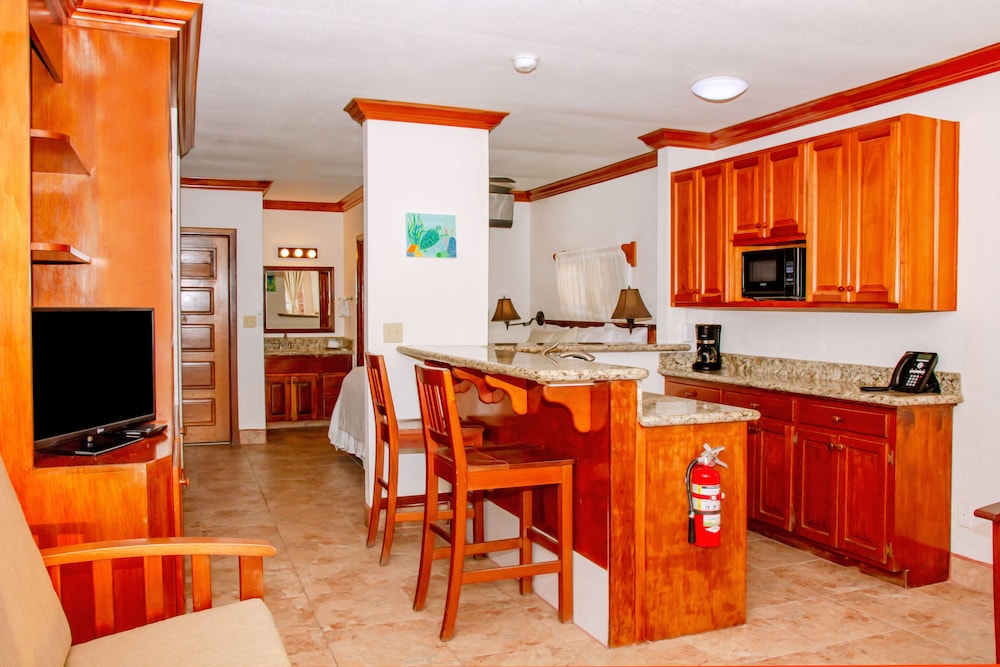 Studio Suite, Beach View (Beachfront) photo 3
