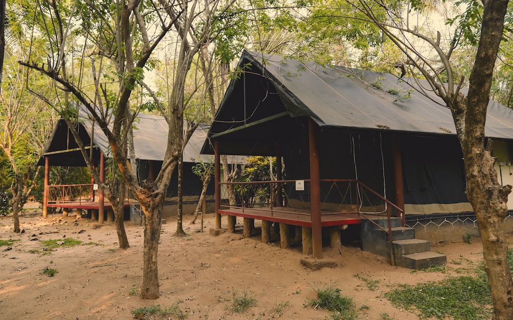 Jungle View Tent photo 2