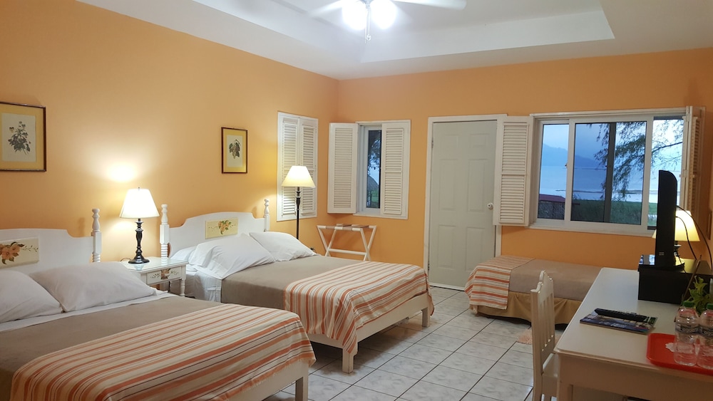 Standard Room, Multiple Beds photo 1