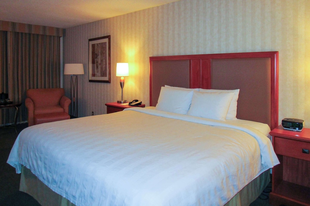 Room, Non Smoking (King) photo 3