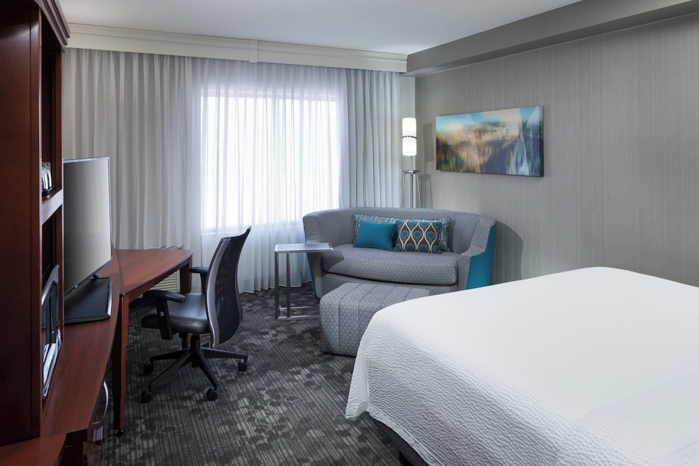 Room, 1 King Bed with Sofa bed (Hearing Accessible)