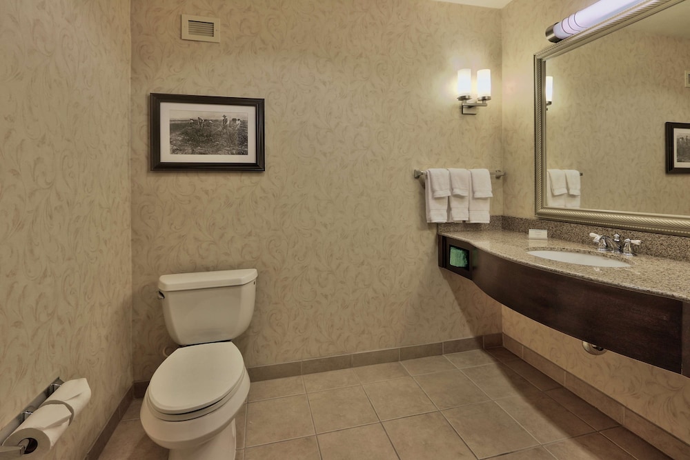 Suite, 1 King Bed, Accessible - Photo 6
