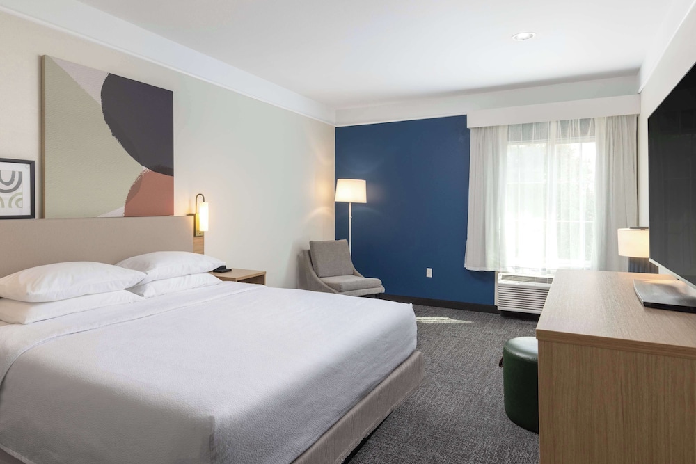 Room, 1 King Bed, Accessible, Bathtub - Photo 1