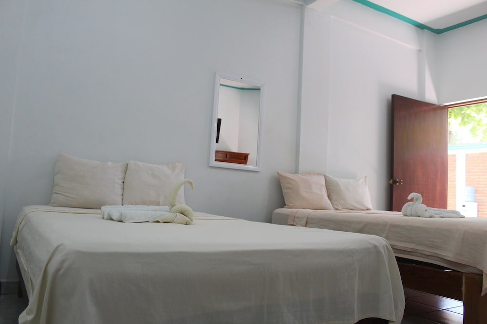 Basic Twin Room - Photo 14