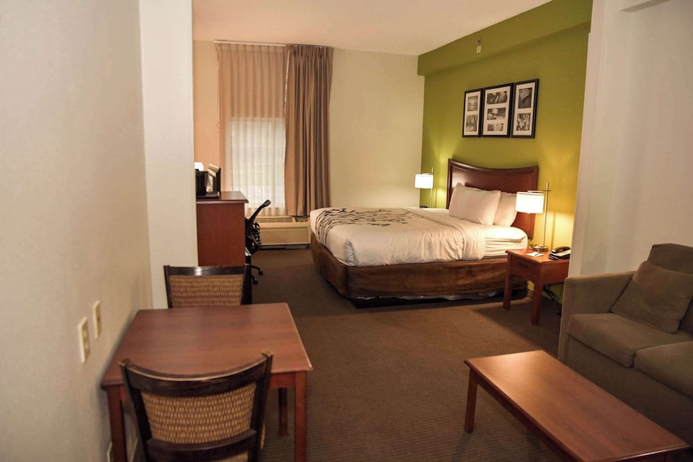 Standard Room, 1 King Bed, Non Smoking