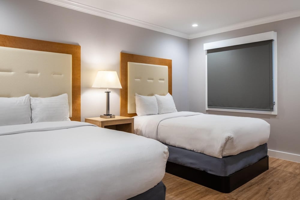 Deluxe Double Room, 2 Double Beds - Photo 6