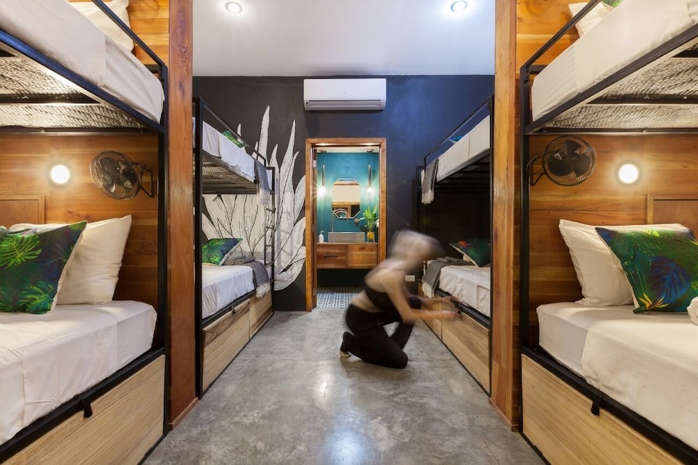 Deluxe Shared Dormitory photo 1