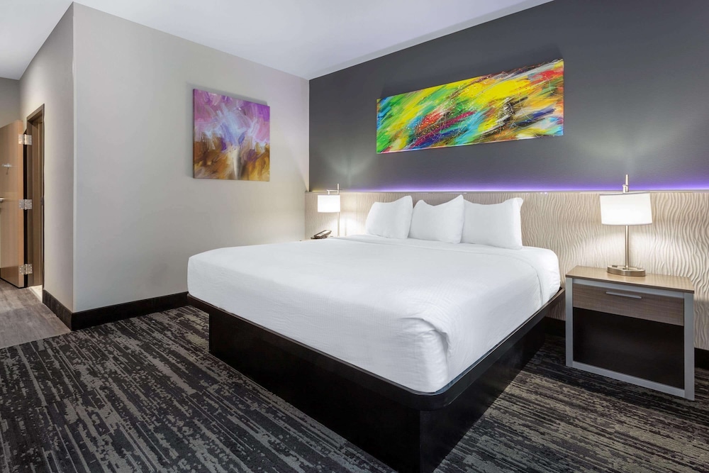 Room, 1 King Bed, Accessible, Non Smoking (Pet-friendly) - Photo 2