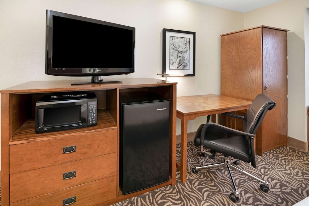 Room, 1 King Bed, Accessible (Creek View) - Photo 5