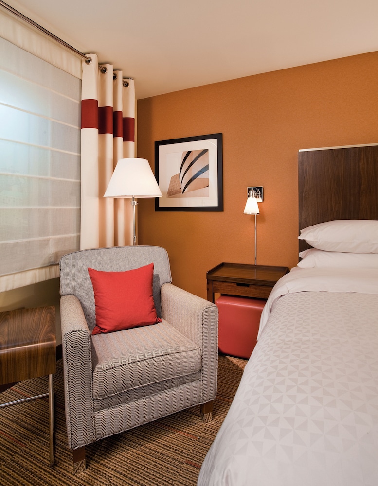 Executive Studio Suite photo 1