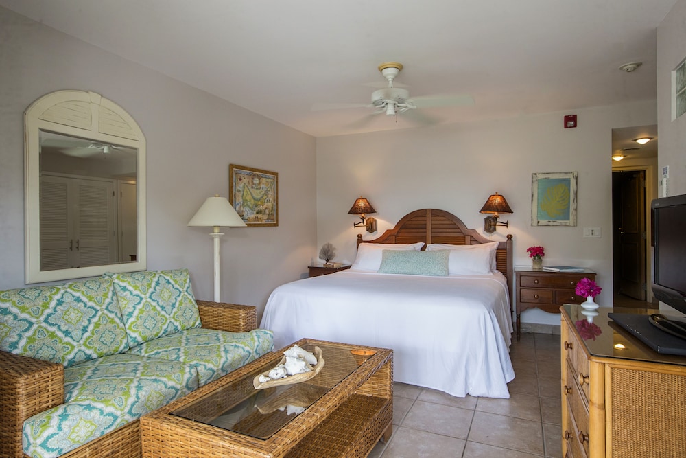 Studio Suite (upper Floor Only)