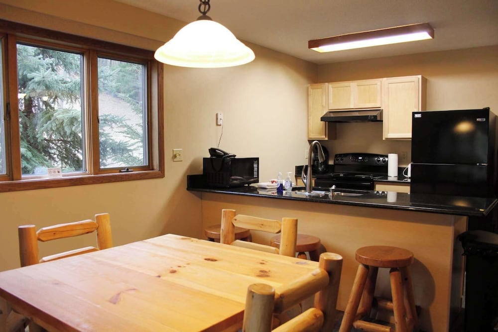 Condo (Mountain Haus) - Photo 14